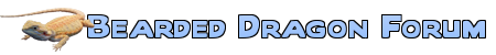 Bearded Dragon Forum