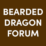beardeddragonforum.com