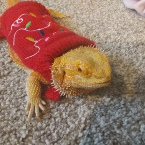 Christmas Mars