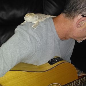 Bella listing to her dad play guitar