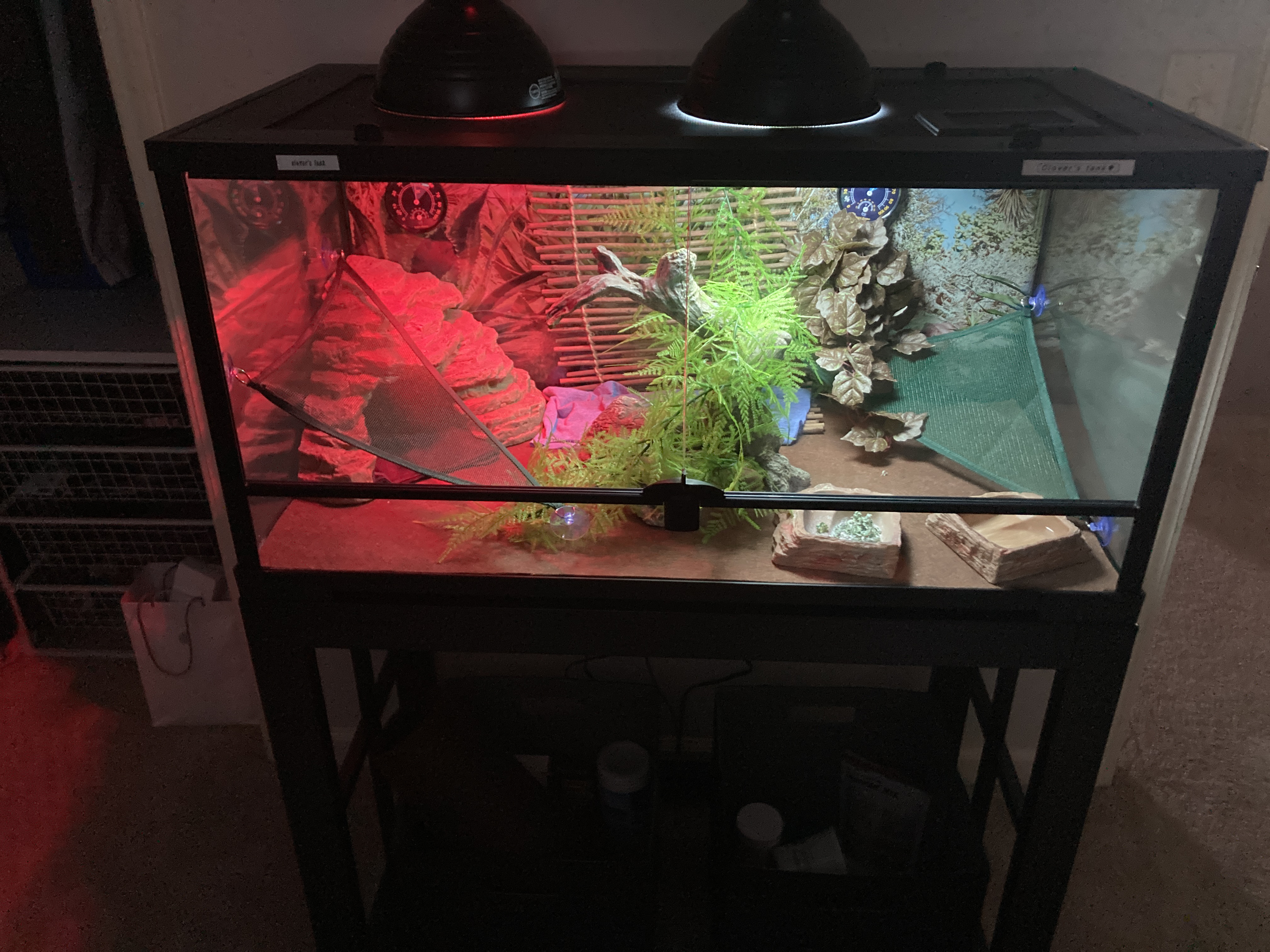 40 gallon bearded dragon tank outlet kit