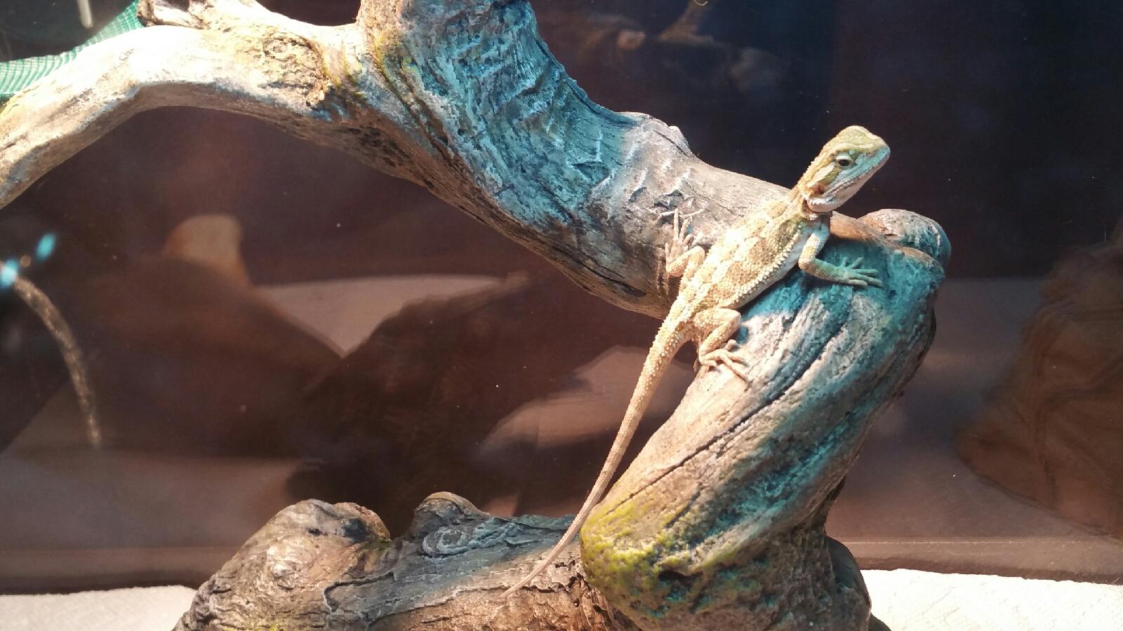Bert Hanging Out