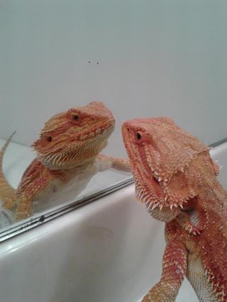 Checkin' herself out