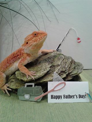 For all the dads out there!