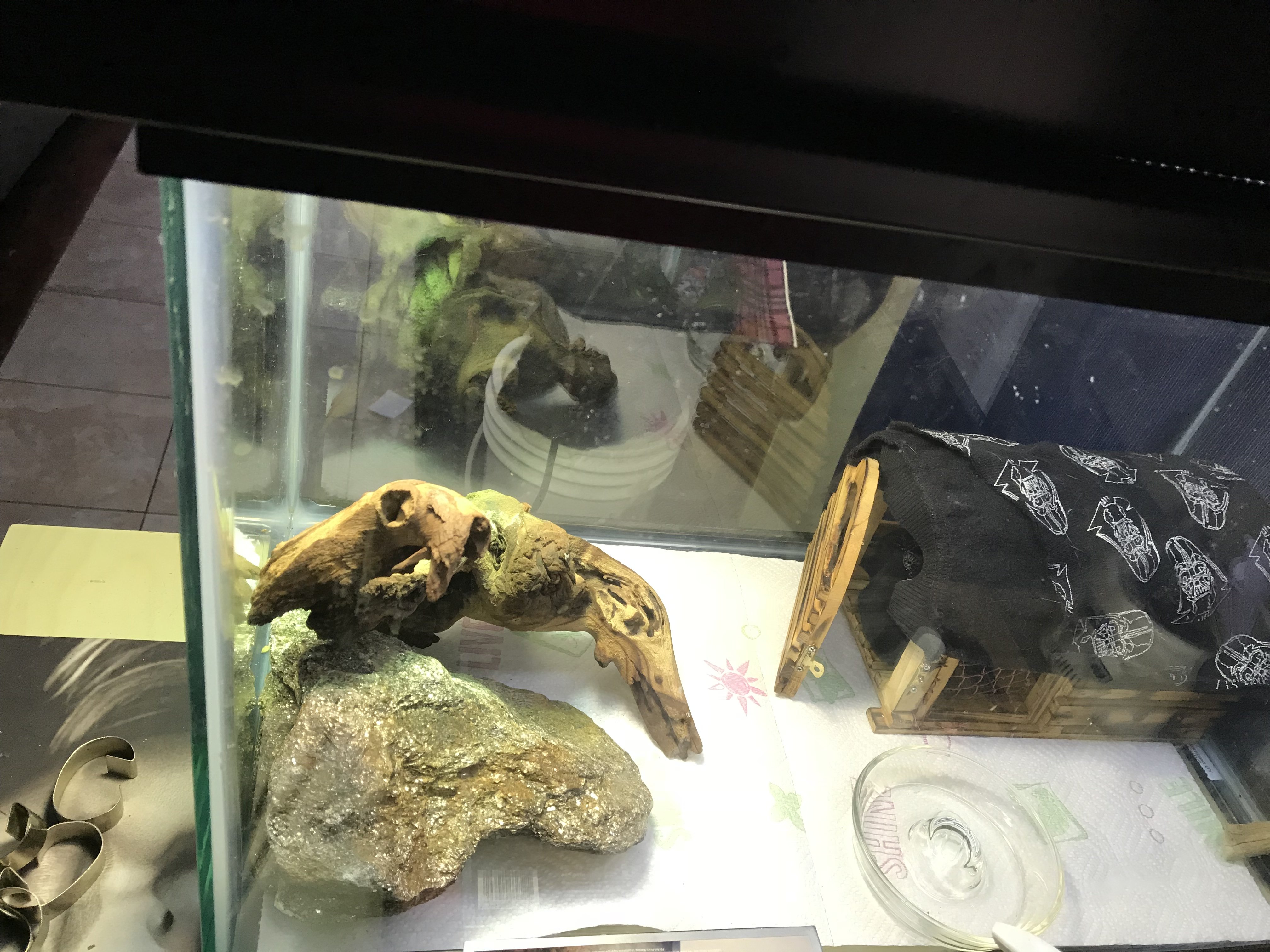 Full Enclosure