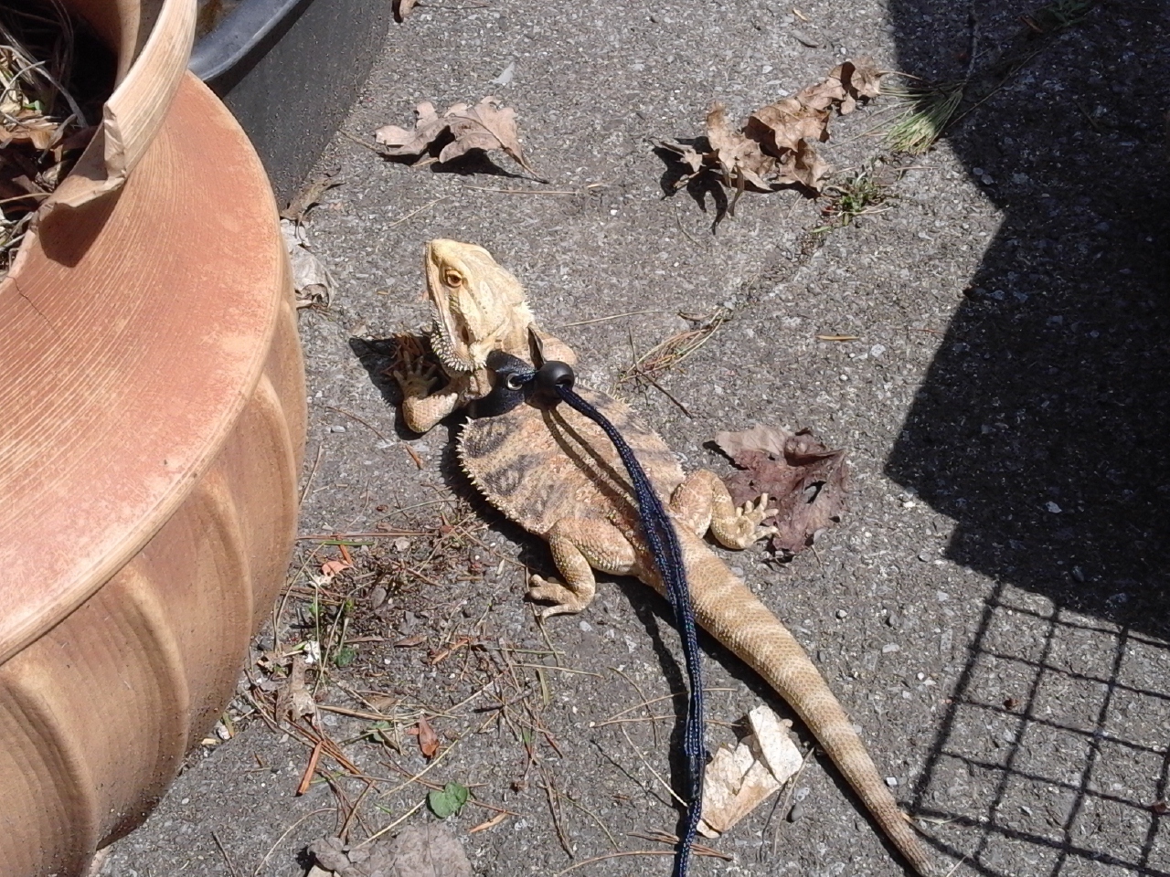 Getting my tan on