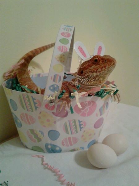Happy Easter ya'll:)