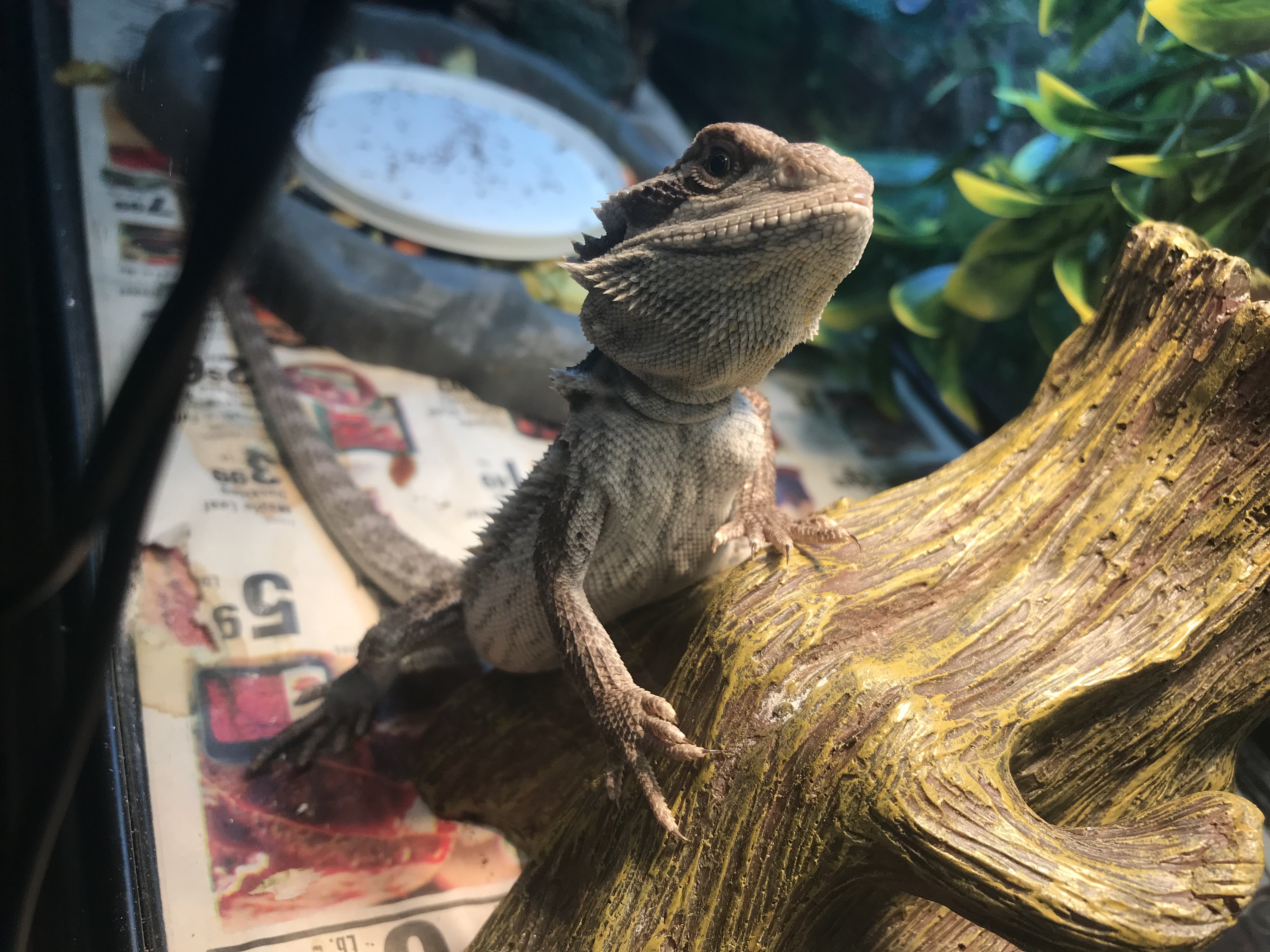 Hey handsome!