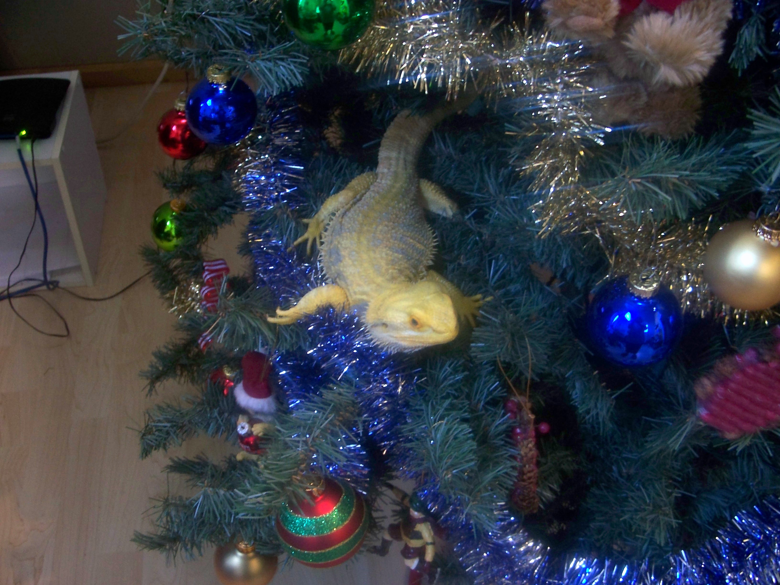 Little Tree Ornament