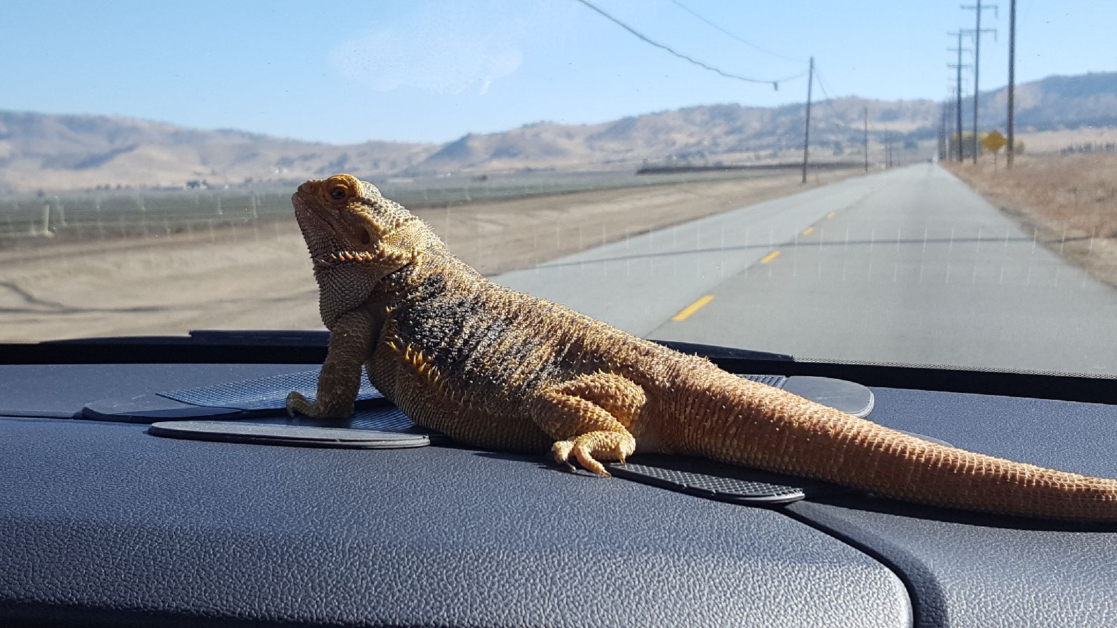 loves the road trips