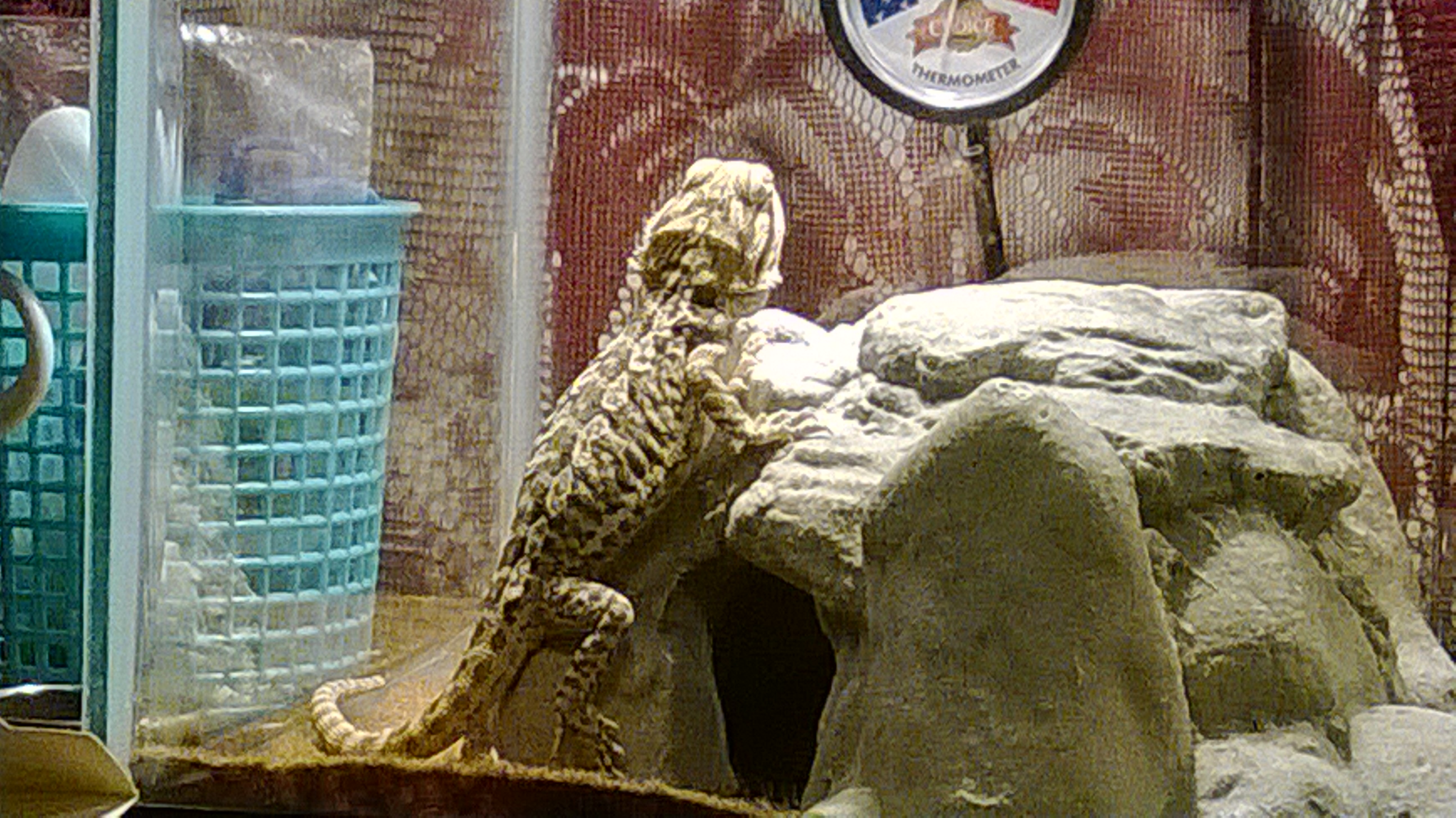 My rock cradles my belly perfectly here!
