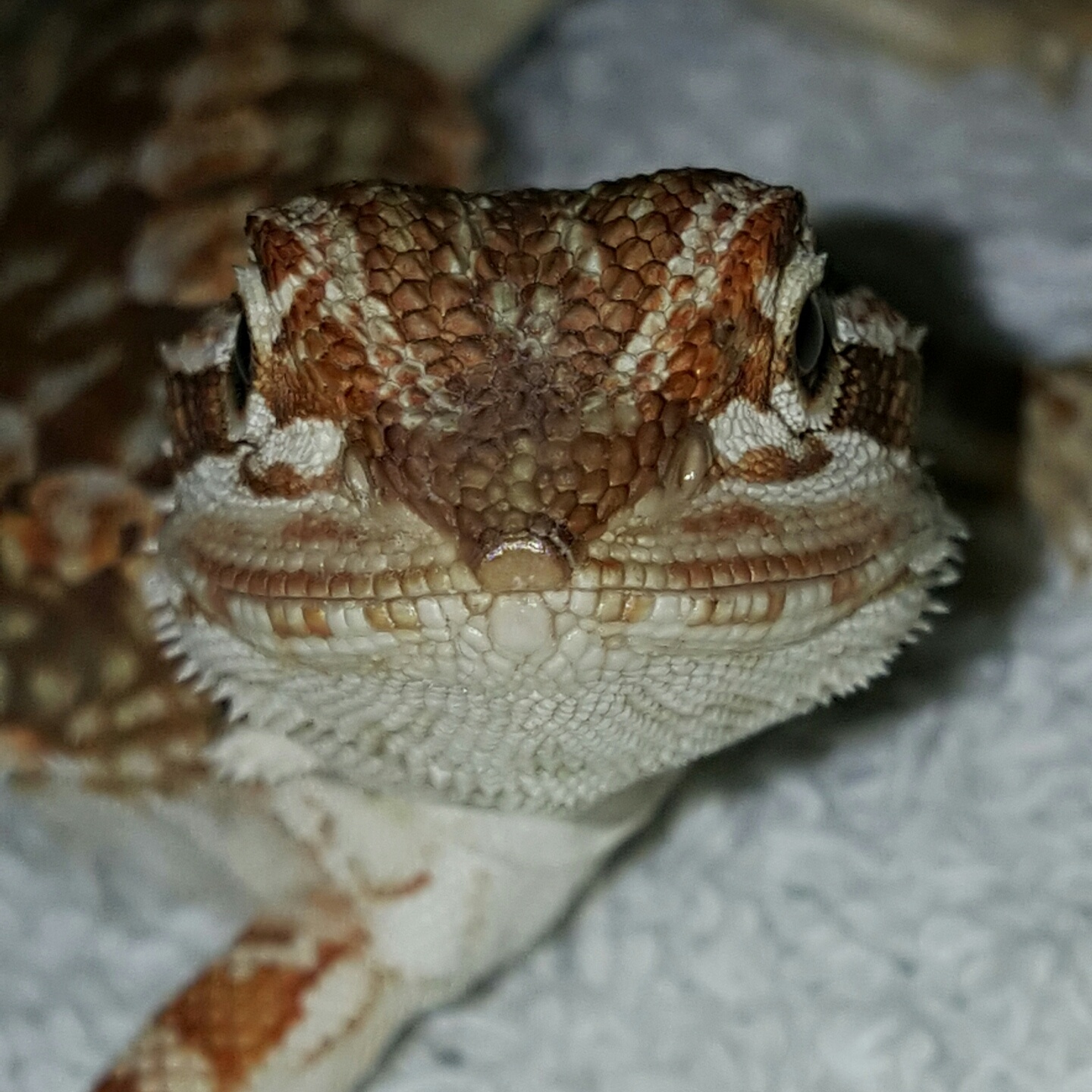Smiling