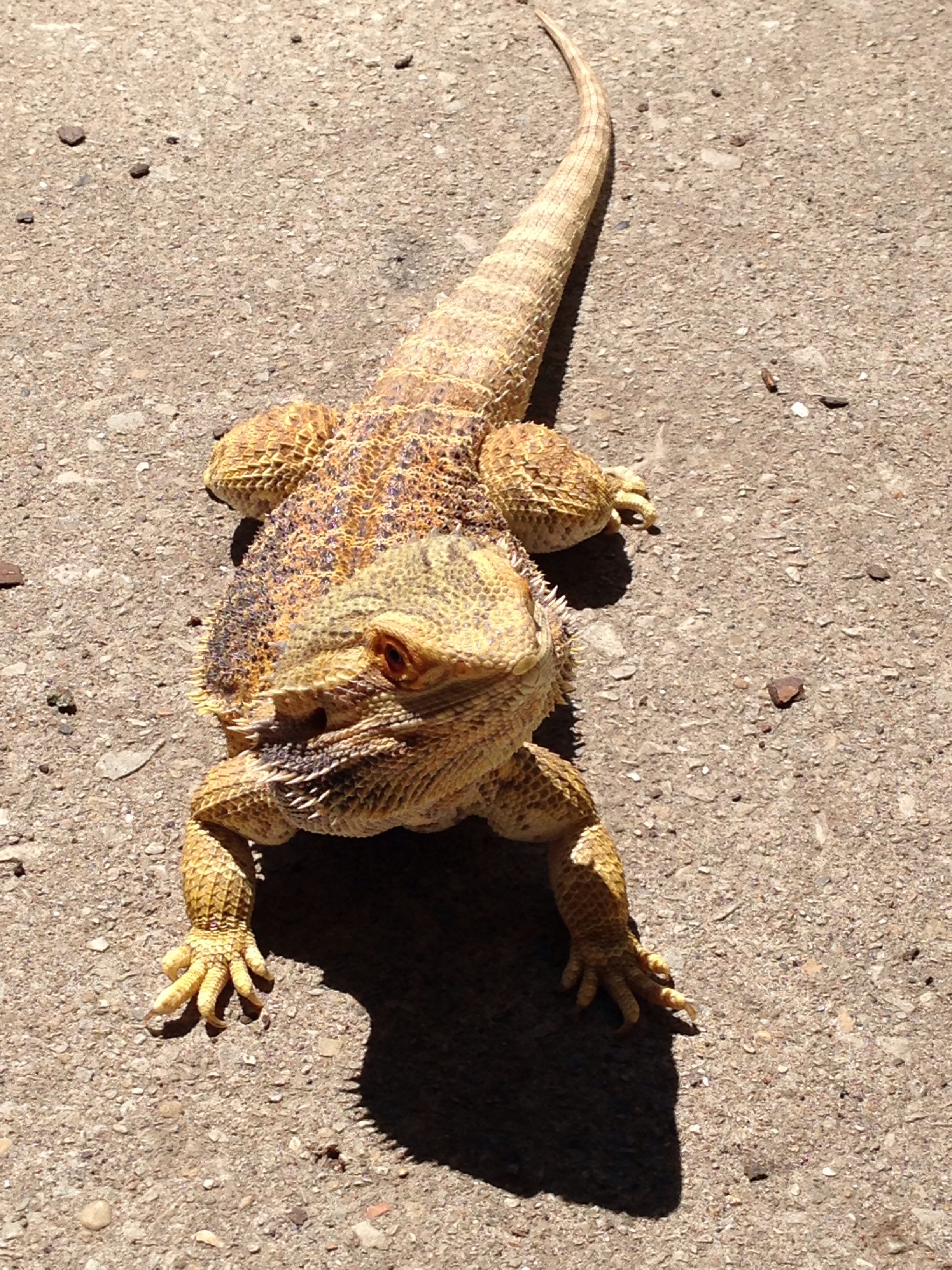 Soaking up some rays!