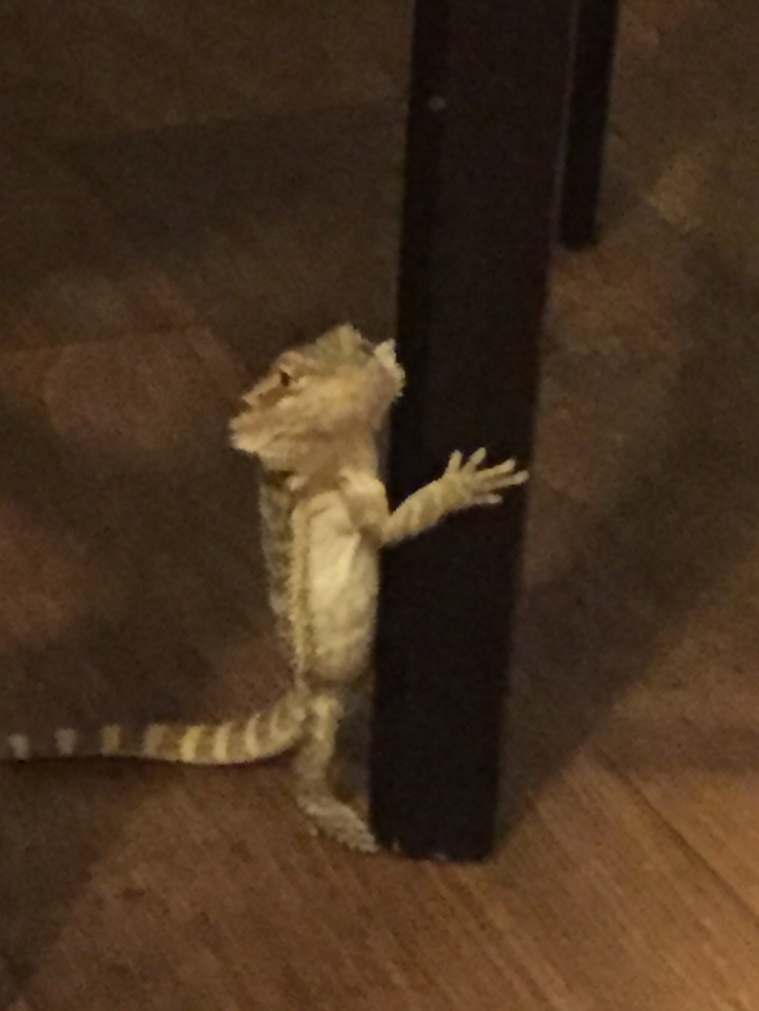 Striking a pose!